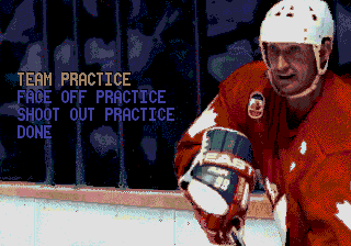 Wayne Gretzky and the NHLPA All-Stars screenshot 5 for Sega Mega Drive